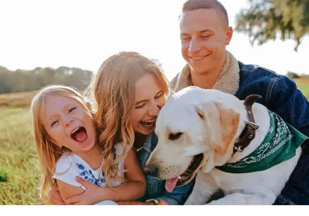 ¿Qué sorpresas le tendrás a tu peludito este San Valentín? Sé un Perfecto #PetLover