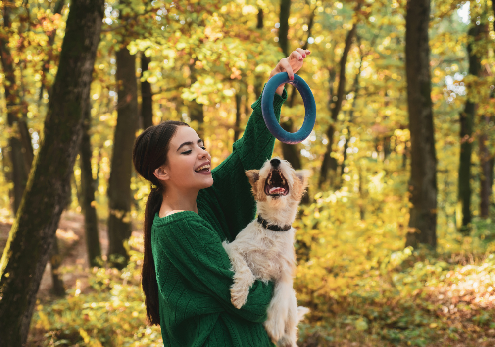 Consejos para mejorar la salud de tu Mascota