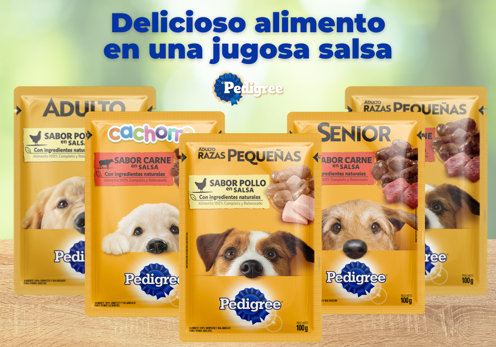 Beneficios del alimento húmedo PEDIGREE®: nutrición y salud para tu perro
