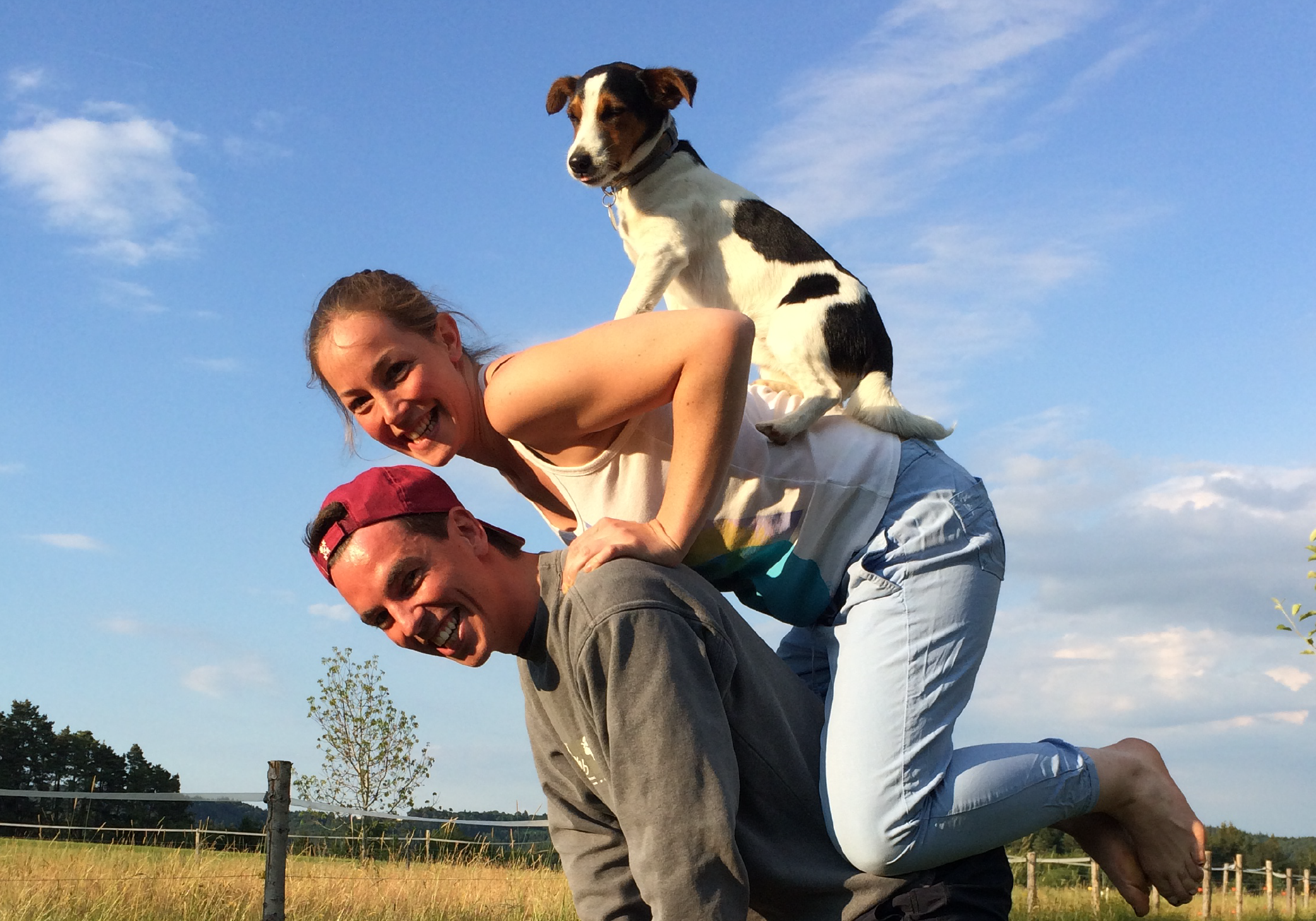 Juegos típicos chilenos: ¿Cómo incluir a tu mascota en las fiestas patrias?