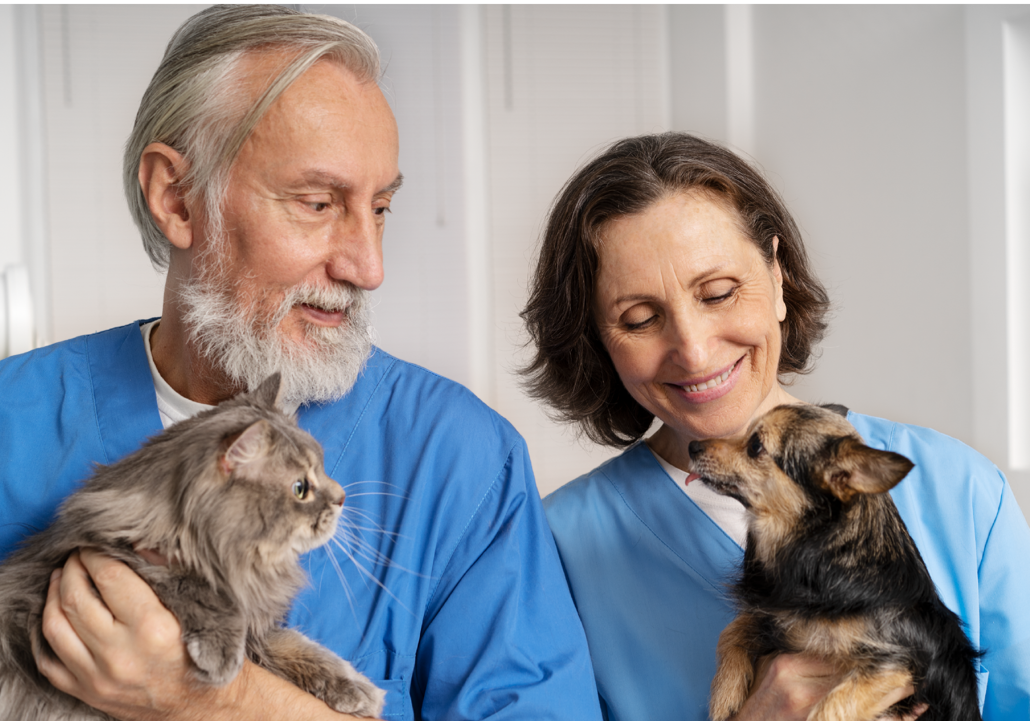 Guía completa sobre el cuidado de una mascota en etapa senior