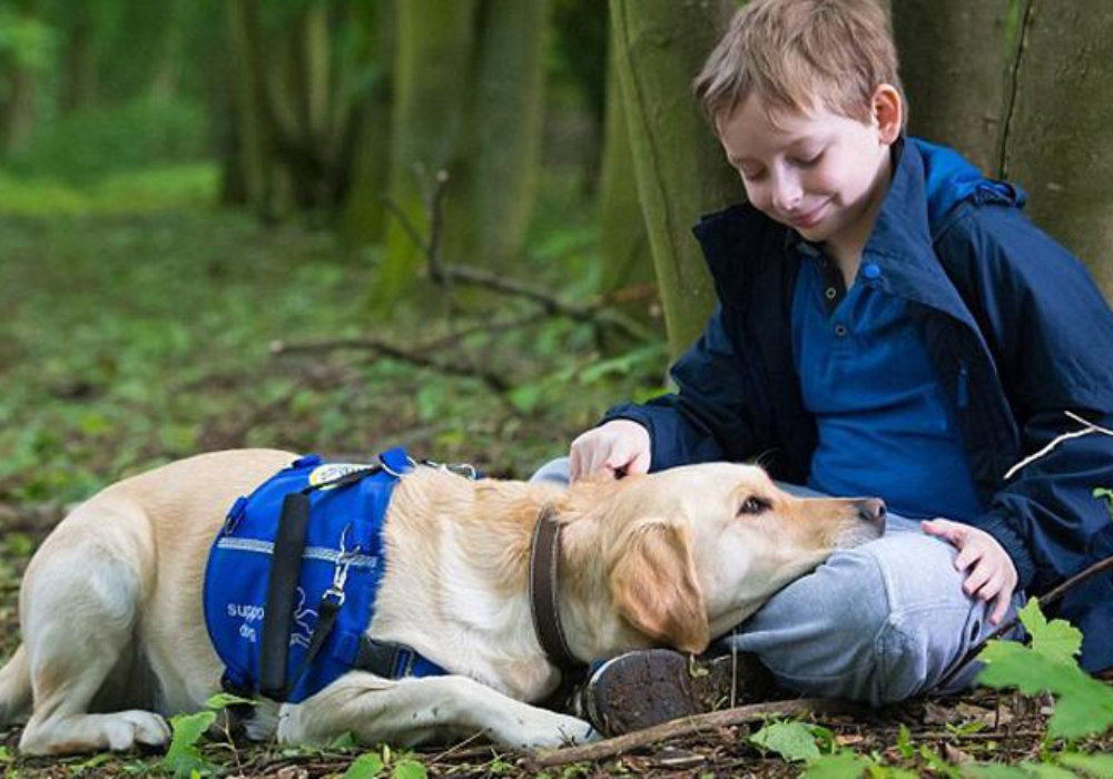 ¿La interacción con los animales puede ayudar a las personas con TEA?