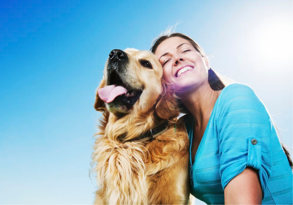 El día más feliz del año junto a tu peludito