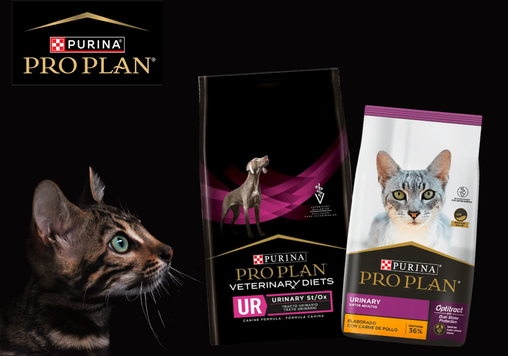 Guía completa sobre alimentos urinarios para perros y gatos