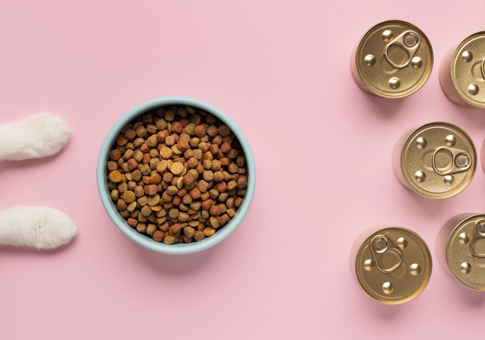 Alimento seco vs alimento húmedo para perros y gatos: diferencias, beneficios y cuál elegir