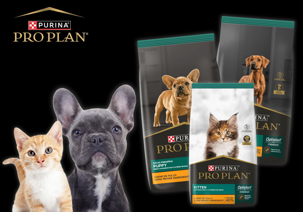 Pro Plan para cachorros y gatitos: el inicio de una vida saludable