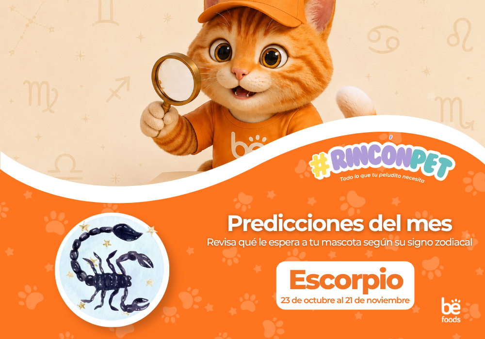 Predicciones del mes: Escorpio