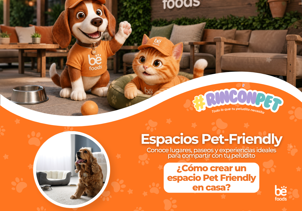 ¿Cómo hacer un espacio pet friendly en tu hogar? Ideas para casas