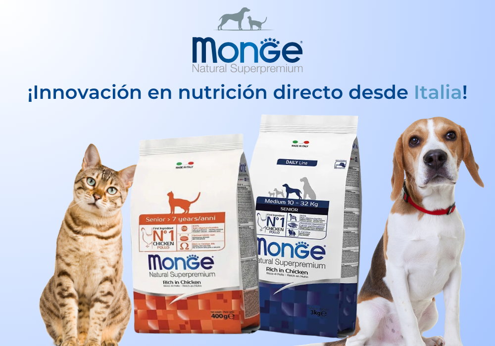 Monge Super Premium: Calidad superior para cada etapa de tu mascota