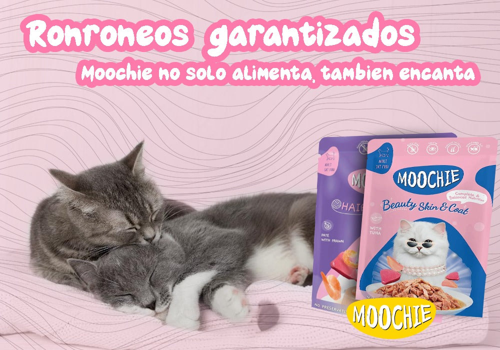 Moochie Beauty Skin and Coat: Salud y Brillo para tu gato incluso en los días más fríos.