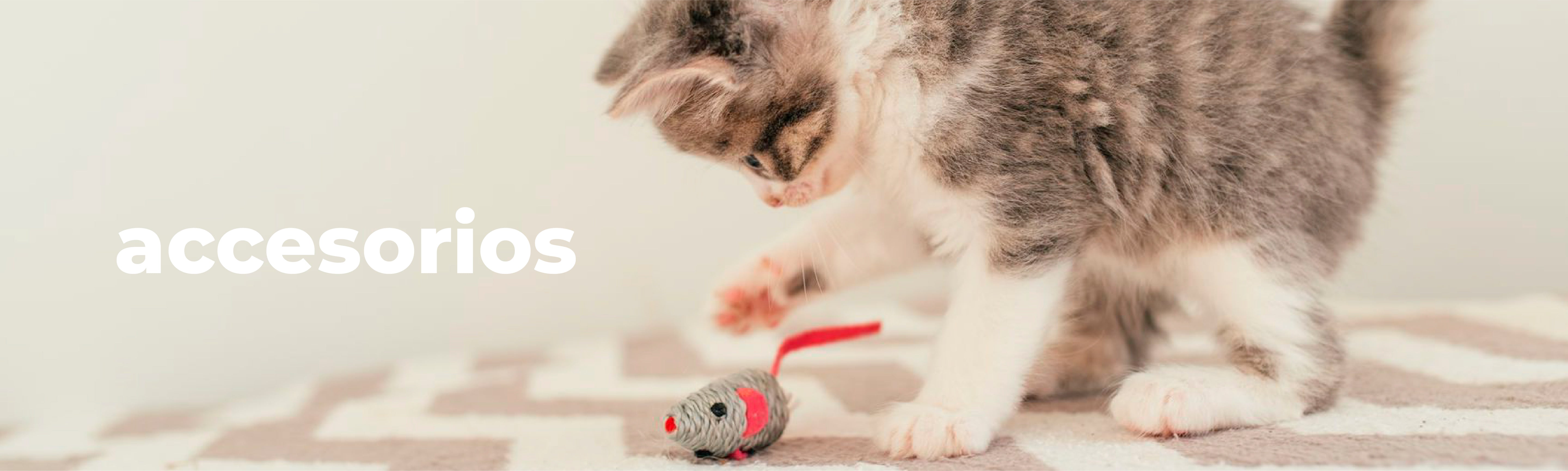Accesorios Gatos