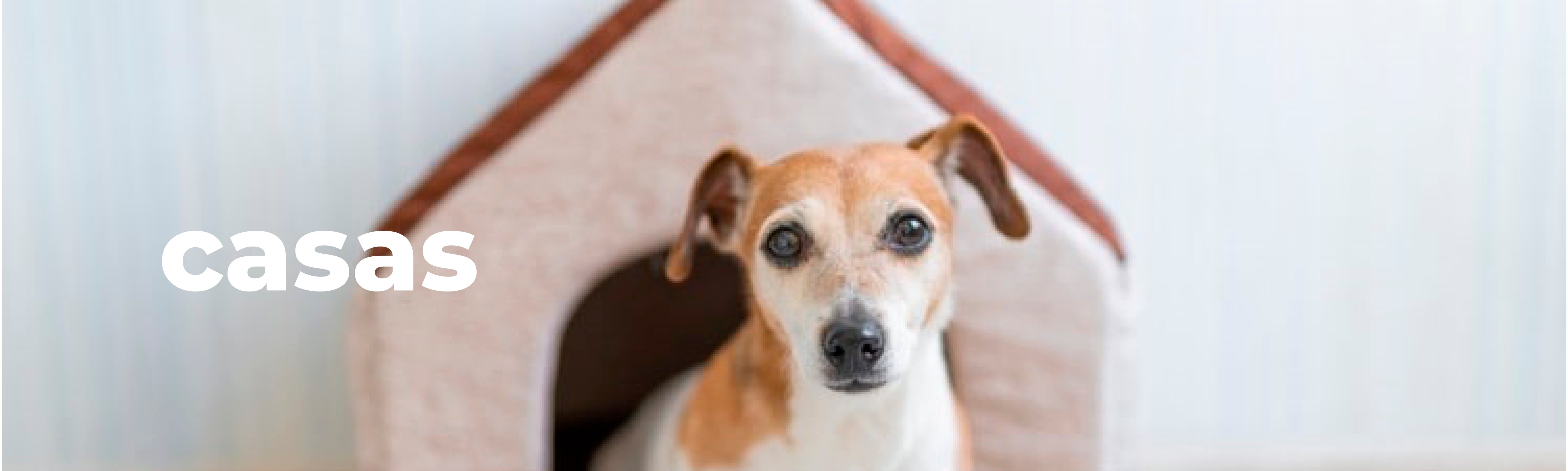 Casas Perros