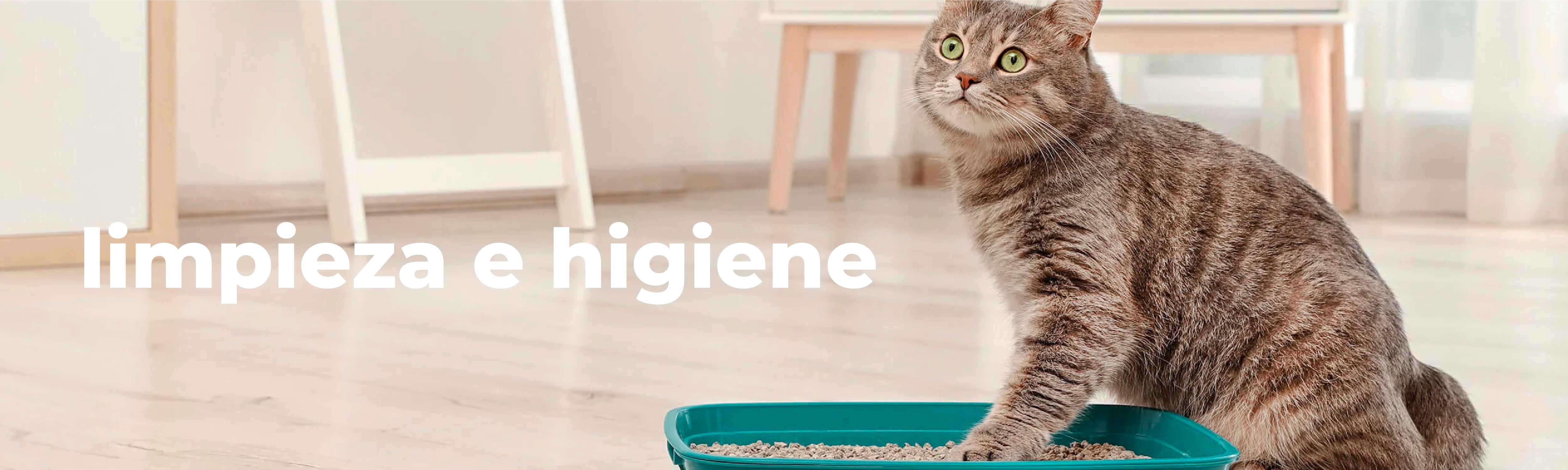 Limpieza e Higiene Gatos