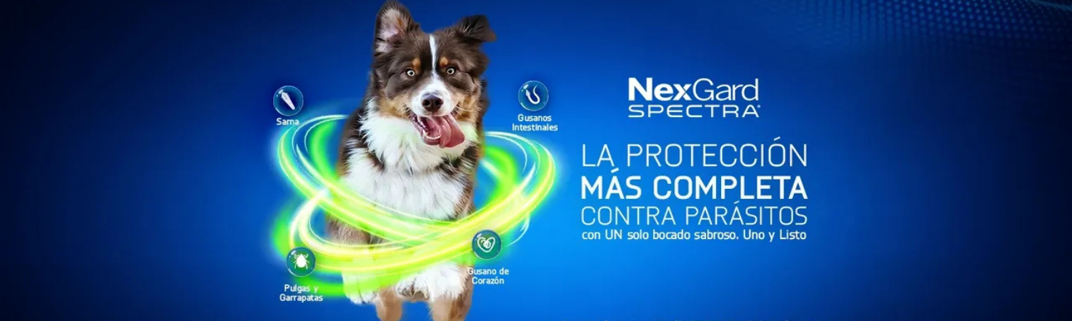 Nexgard