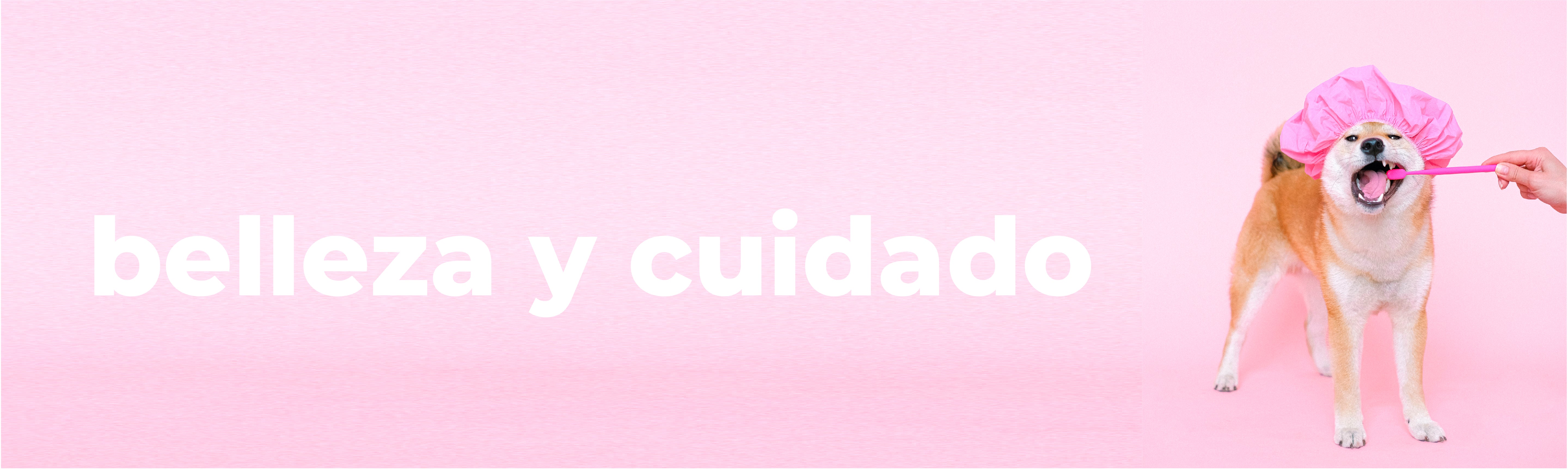 Belleza y Cuidado Perros
