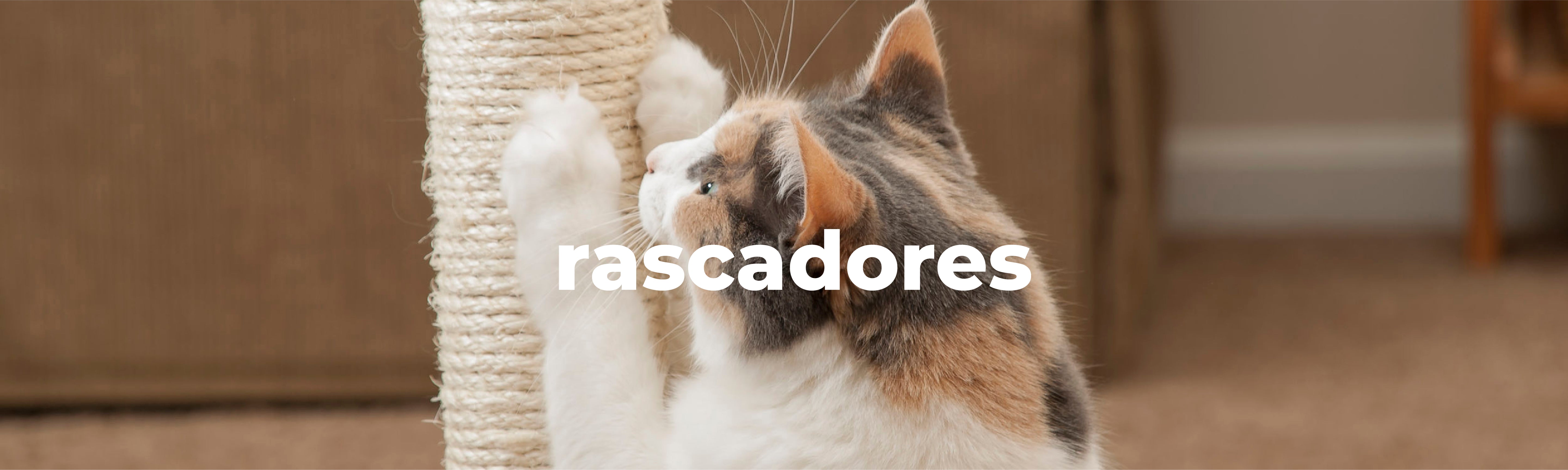 Rascadores Gatos