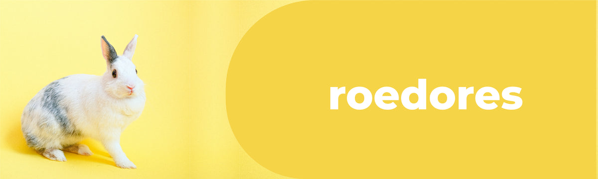 Roedores