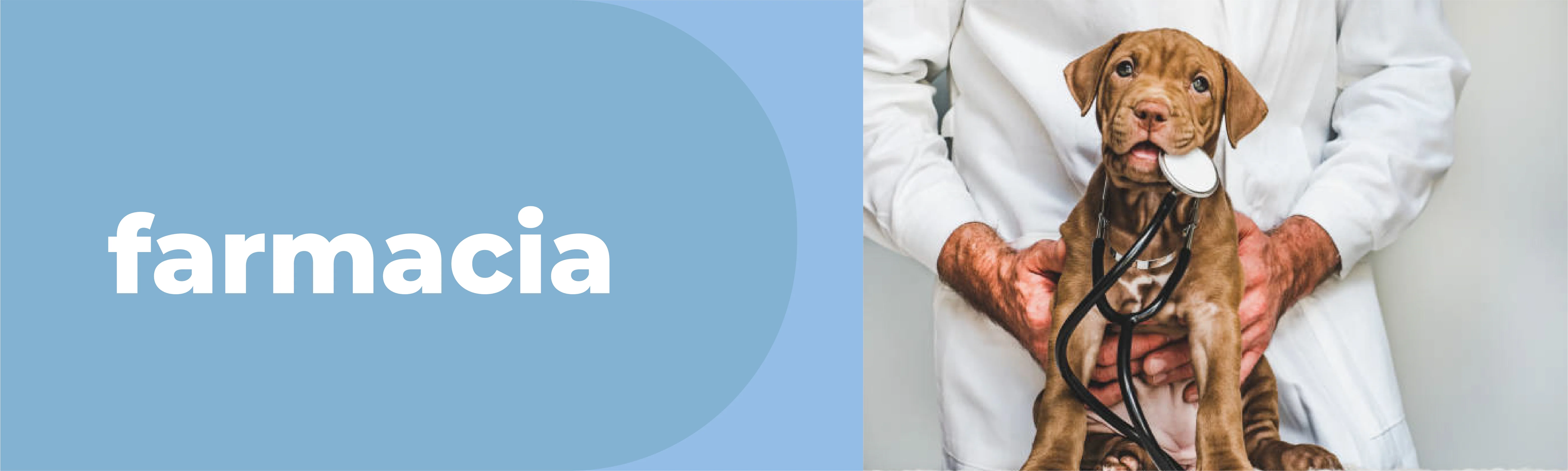 Antiparasitarios Internos Perros