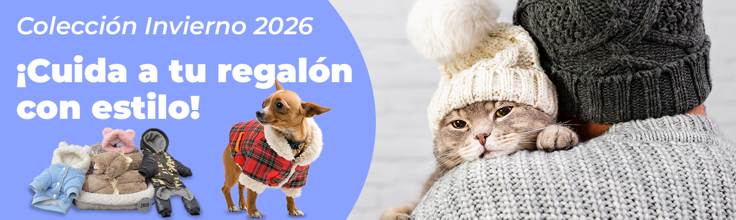 Invierno | Befoods 2026