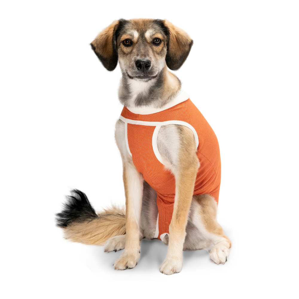 BODY COBRE TRADICIONAL PERRO Y GATO TALLA 6 | 10 A 13 KG