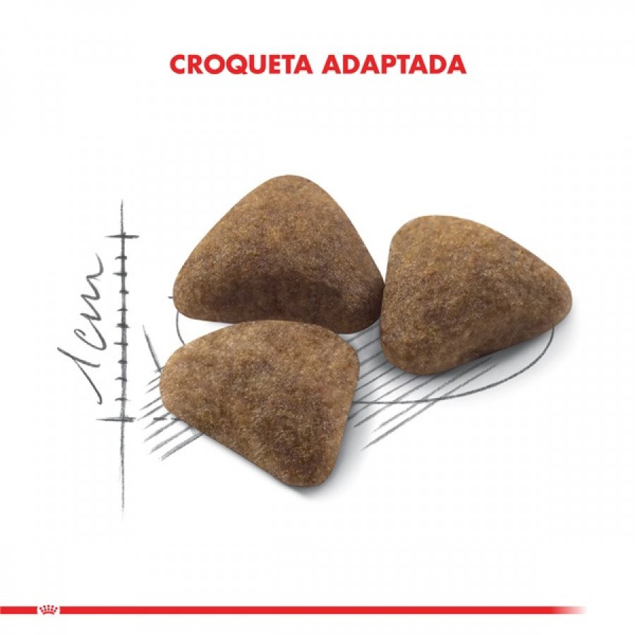ROYAL CANIN CAT ADULTO INDOOR 400GR