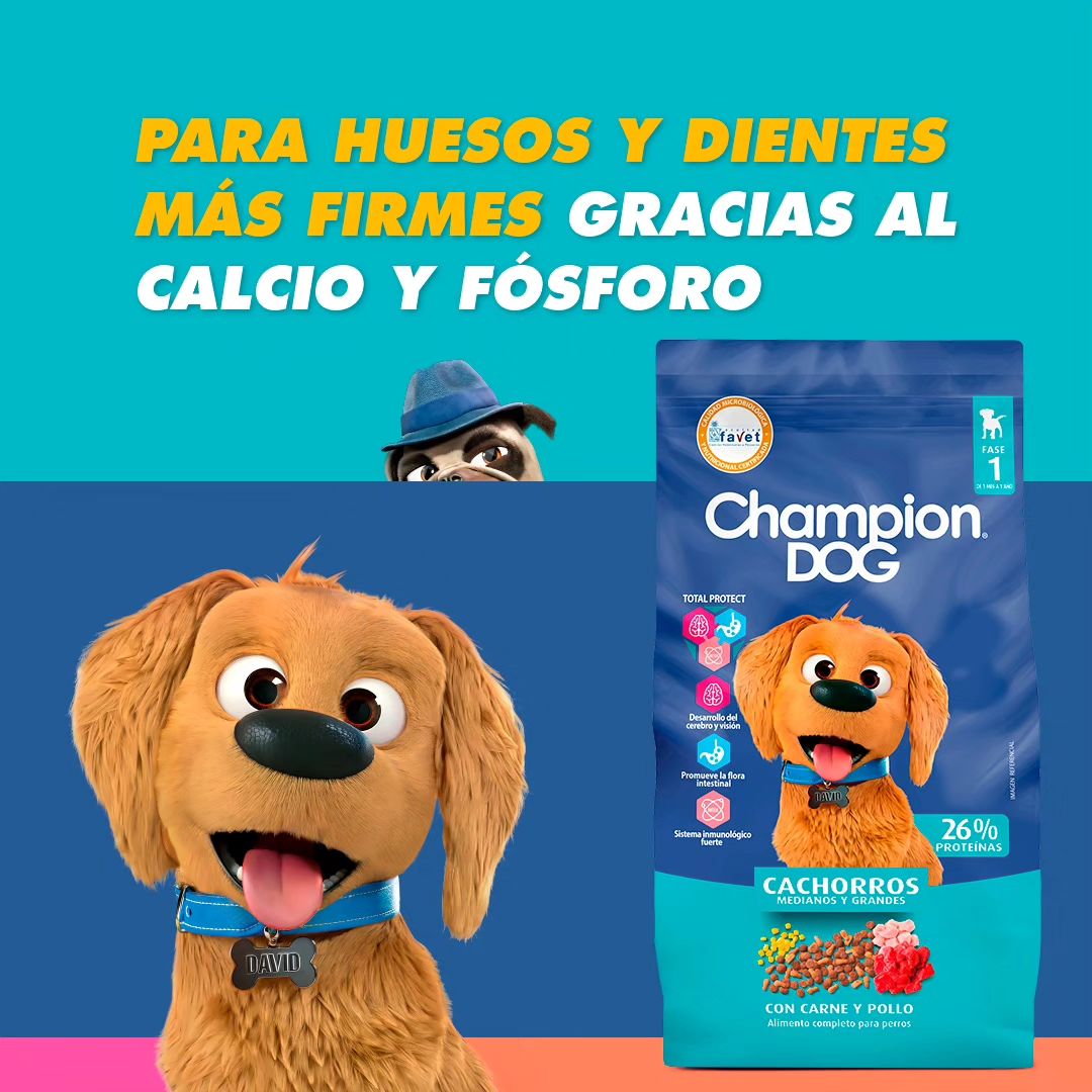 CHAMPION DOG CACHORRO 18KG