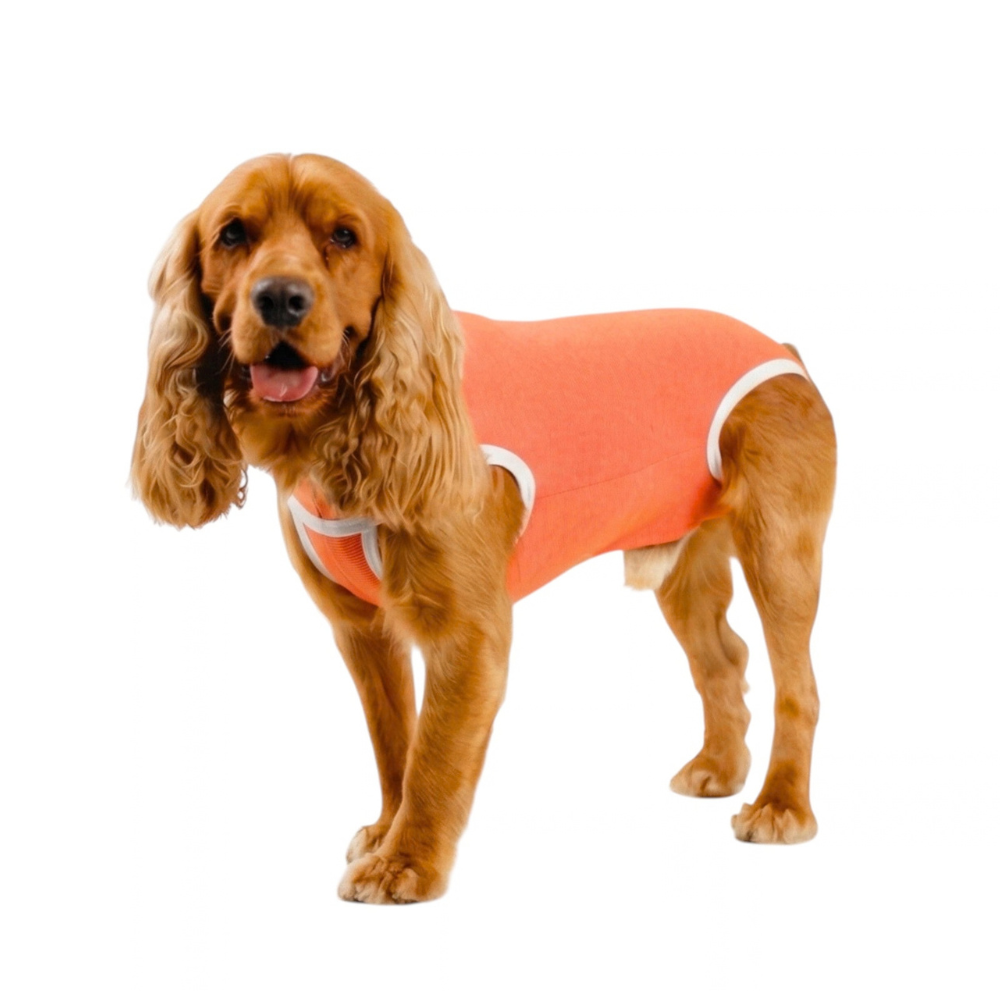 BODY COBRE TRADICIONAL PERRO Y GATO TALLA 6 | 10 A 13 KG