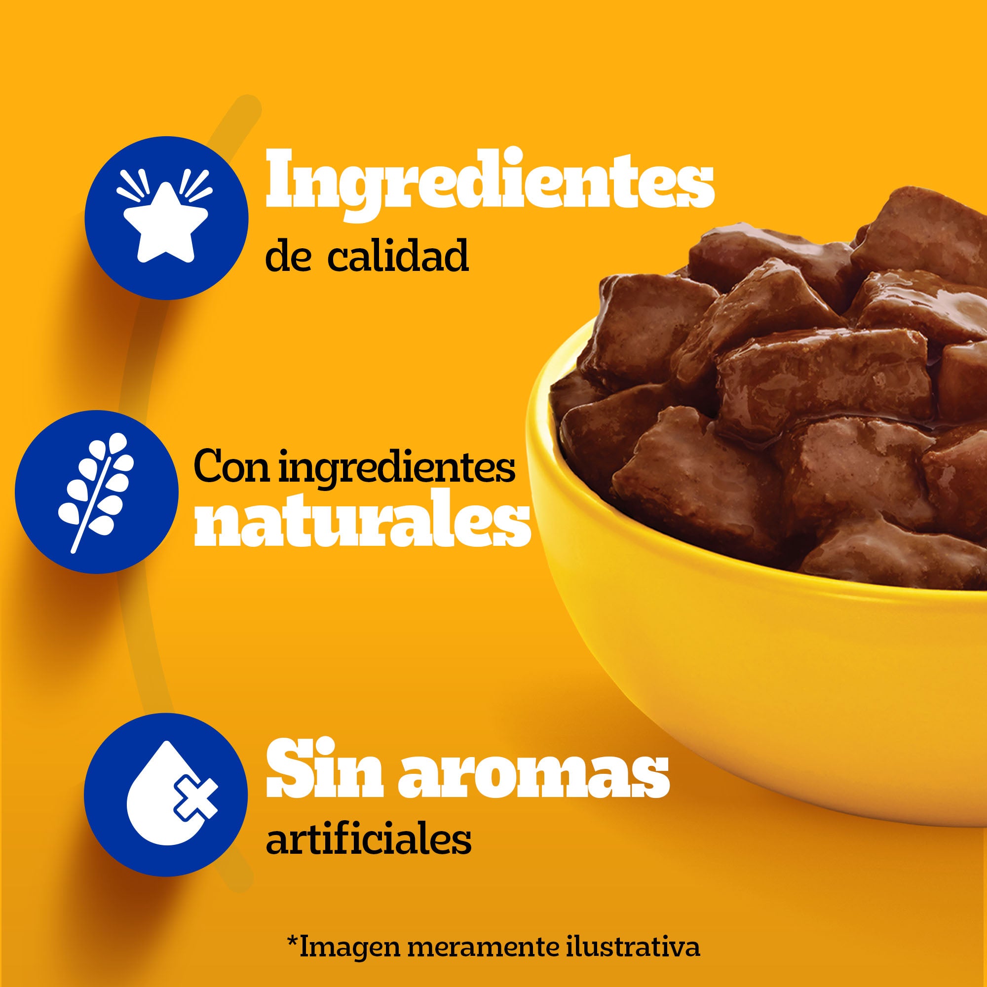 PEDIGREE SOBRE ADULTO SENIOR+7 CARNE 100GR