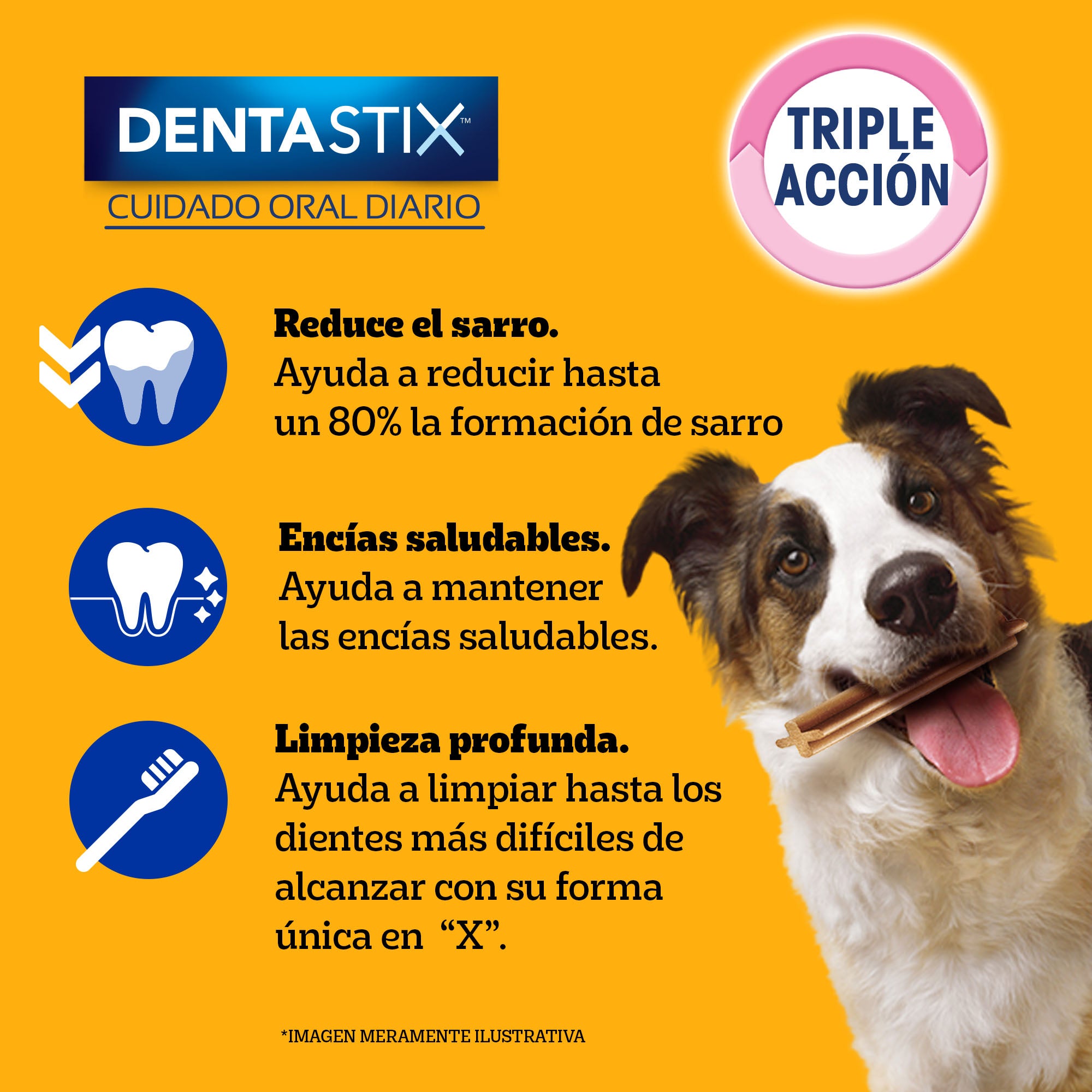 DENTASTIX PEDIGREE R.MEDIANA 180GR. X7