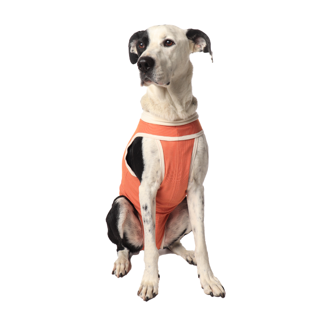 BODY COBRE TRADICIONAL PERRO Y GATO TALLA 7 | 13 A 17 KG