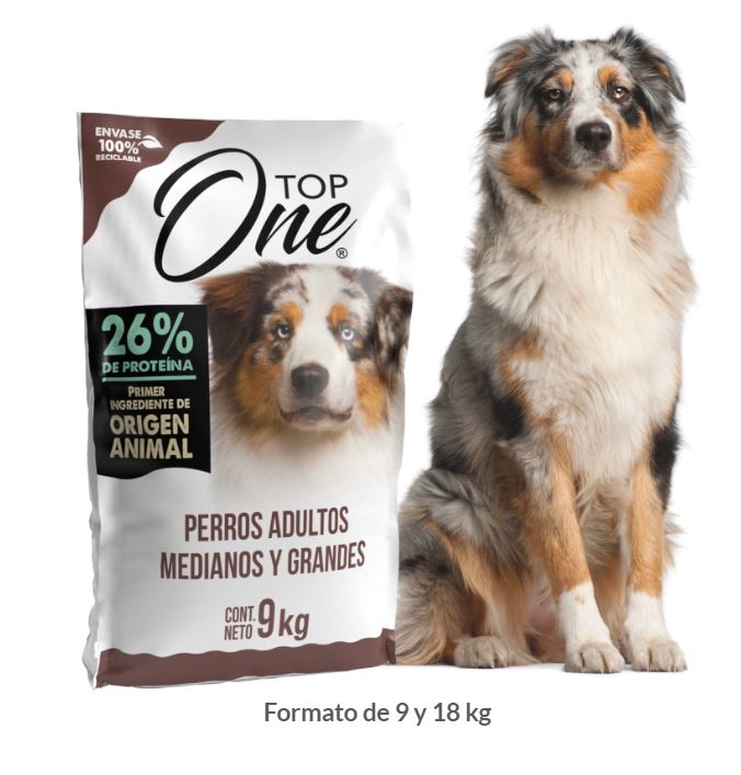 TOP ONE PERRO ADULTO M/G POLLO 9KG