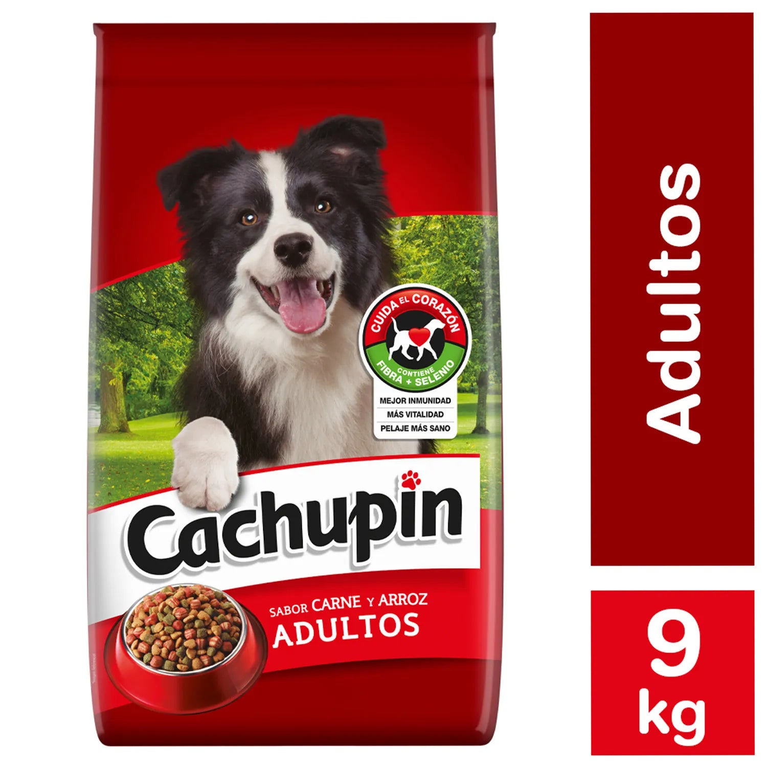 CACHUPIN ADULTO CARNE Y ARROZ 9KG