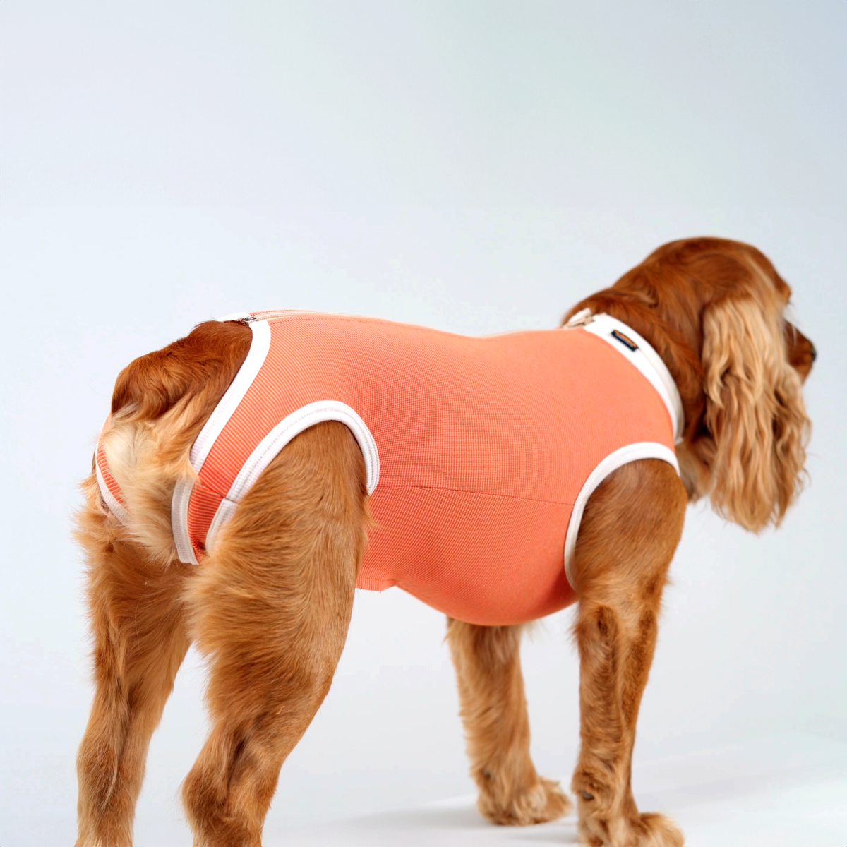 BODY COBRE TRADICIONAL PERRO Y GATO TALLA 5 | 7.5 A 10 KG