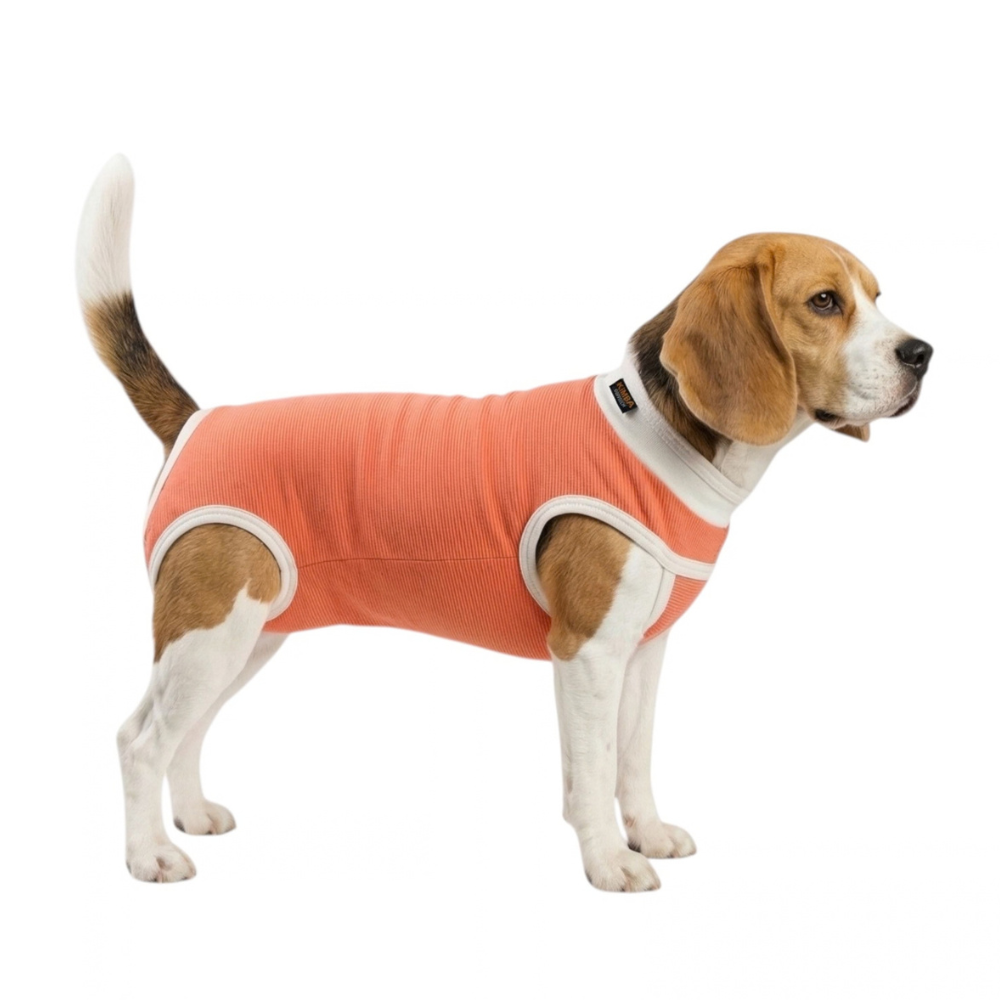 BODY COBRE TRADICIONAL PERRO Y GATO TALLA 5 | 7.5 A 10 KG