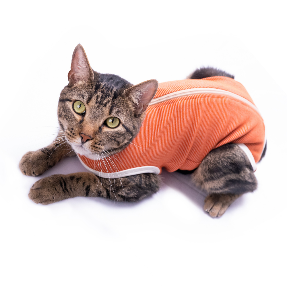 BODY COBRE TRADICIONAL PERRO Y GATO TALLA 2 | 3,5 A 4,5 KG