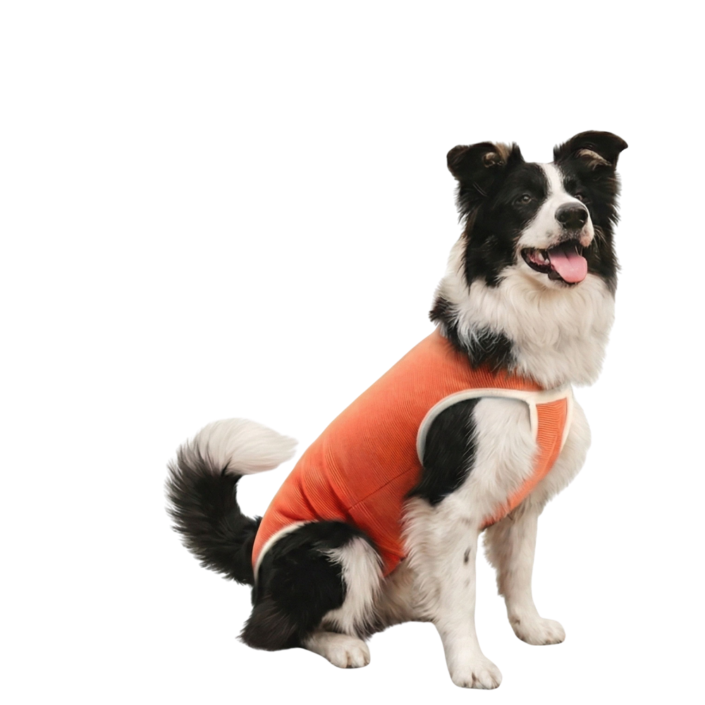 BODY COBRE TRADICIONAL PERRO Y GATO TALLA 8 | 17 a 21 kg