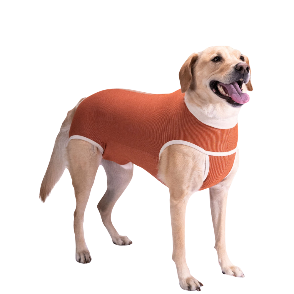 BODY COBRE TRADICIONAL PERRO Y GATO TALLA 9 | 21 a 25 kg