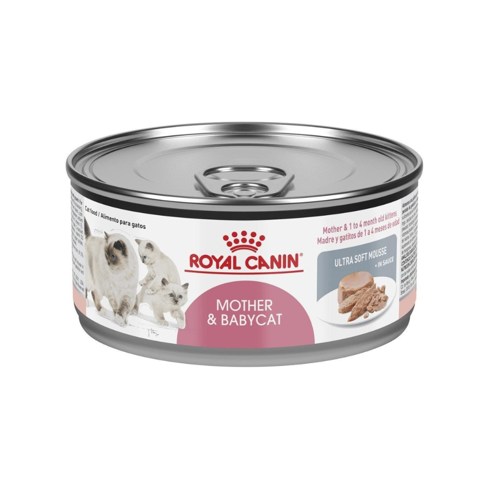 LATA ROYAL CANIN MOTHER & BABYCAT 145GR
