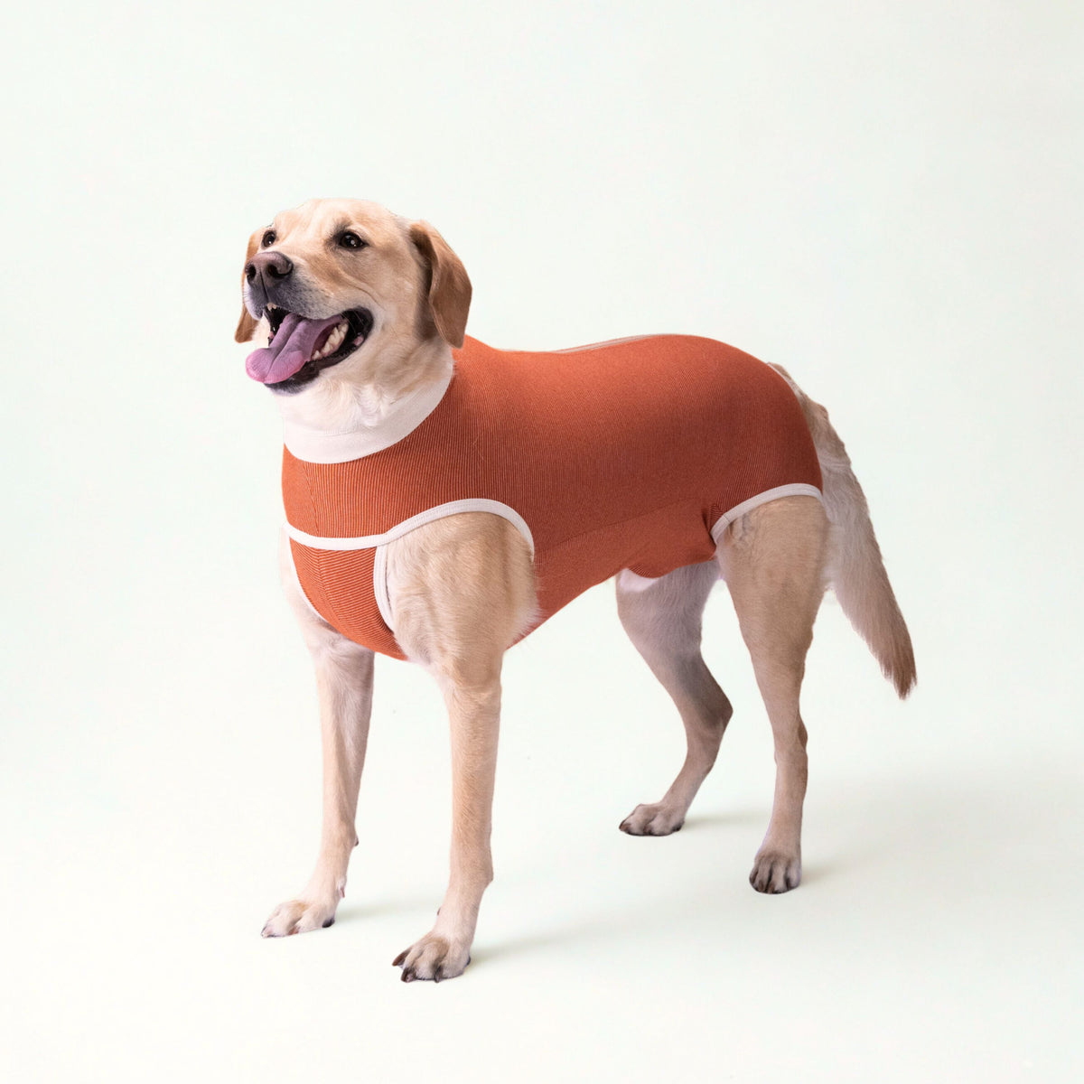 BODY COBRE TRADICIONAL PERRO Y GATO TALLA 9 | 21 a 25 kg