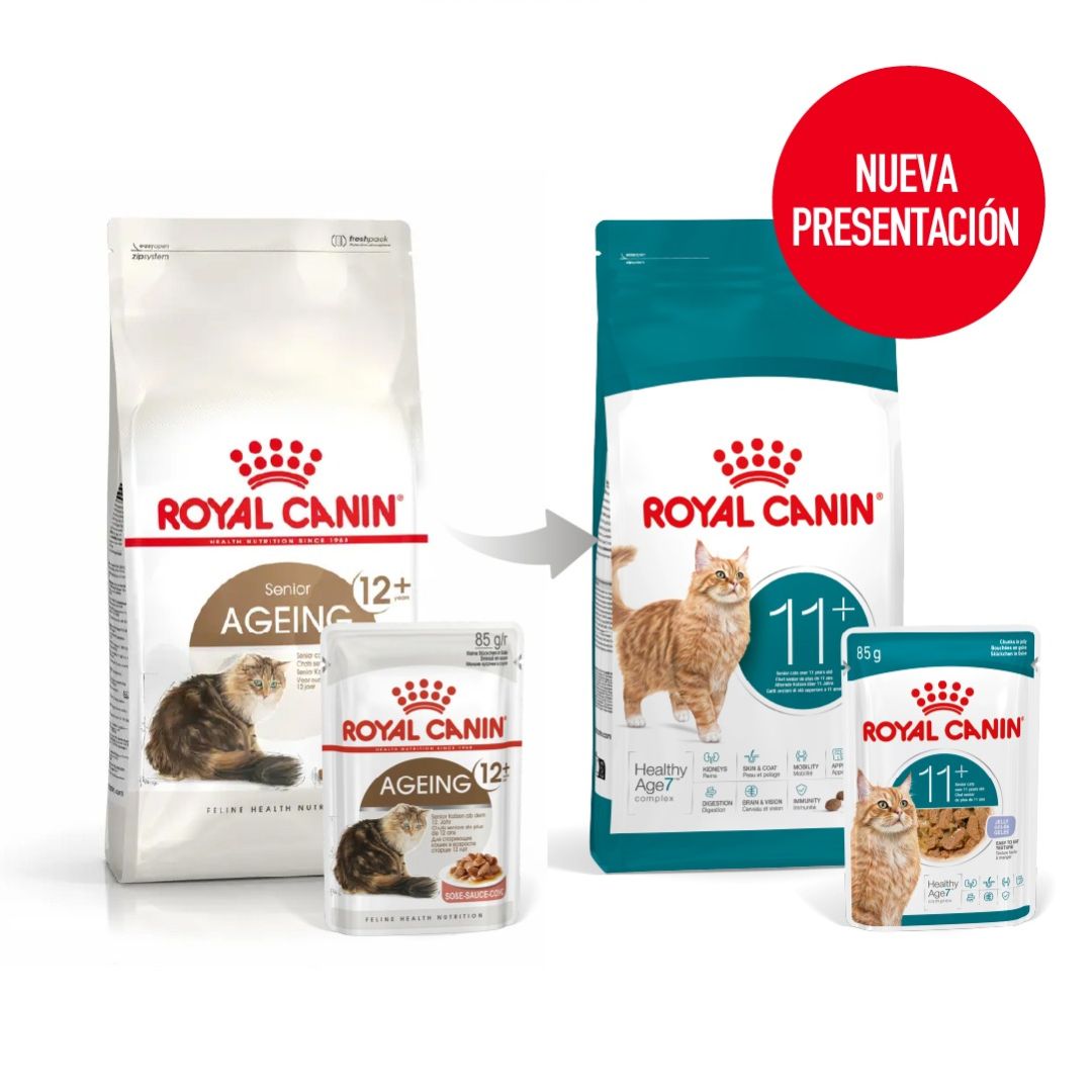 ROYAL CANIN HEALTHY AGEING 11+ FELINO 2KG