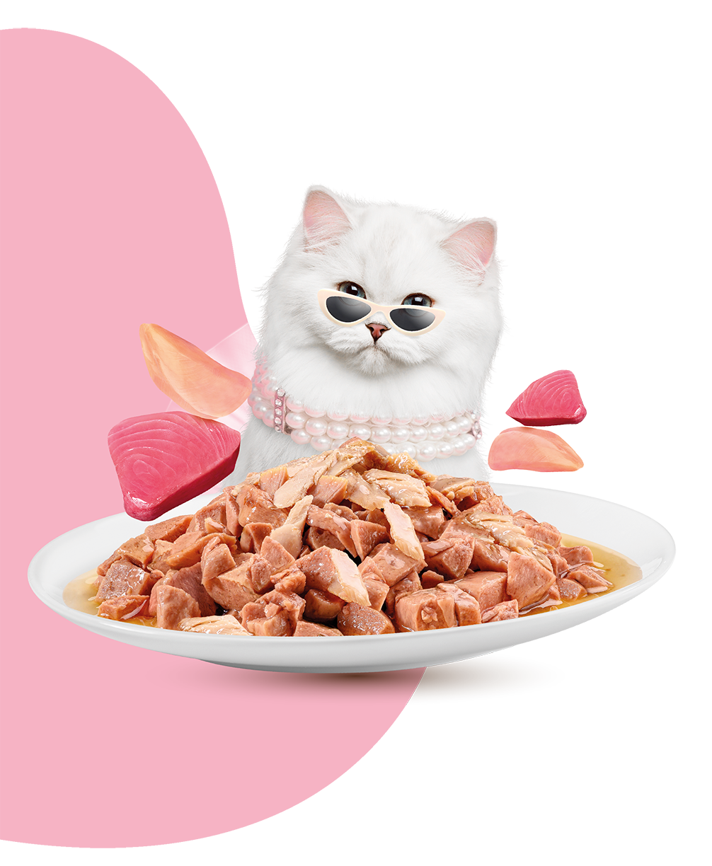 MOOCHIE SOBRE GATO CARNE ATUN 70GRS BEAUTY SKIN