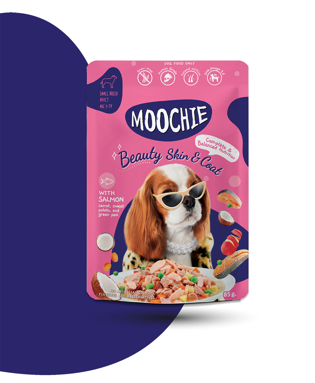 MOOCHIE SOBRE PERRO SALMÓN 85 GRS BEAUTY SKIN
