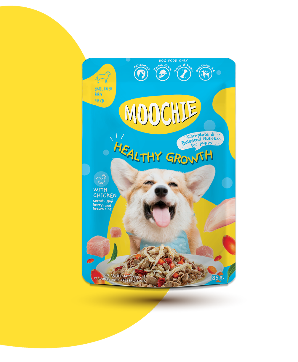 PACK 12 UNID. MOOCHIE SOBRE CACHORRO POLLO 85GRS HEALTHY GROWTH