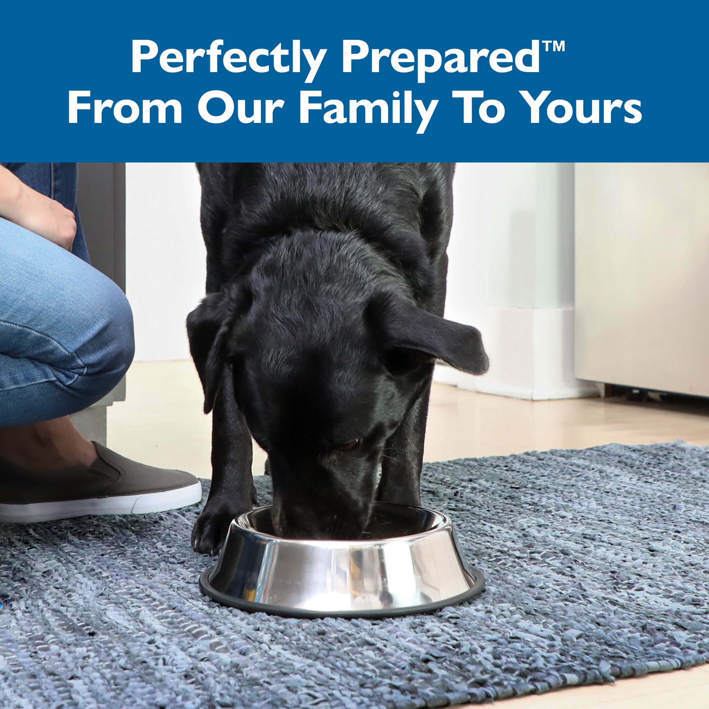 BIL JAC REDUCE FAT DOG FOOD 2.7KG