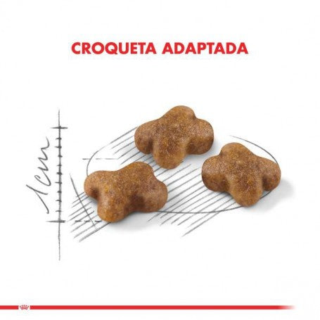 ROYAL CANIN GATITO 400 GR