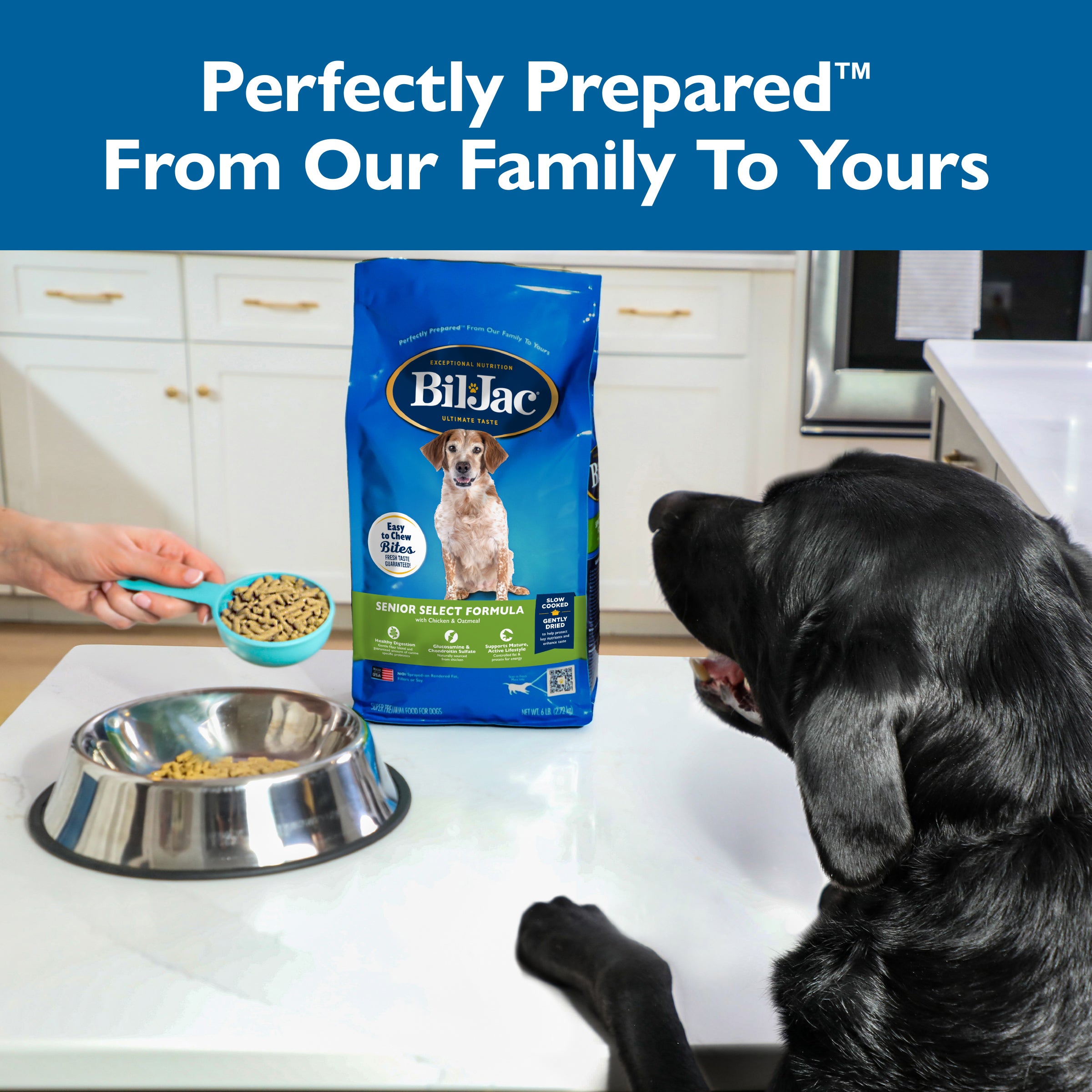 BIL JAC SENIOR DOG 13.6KG