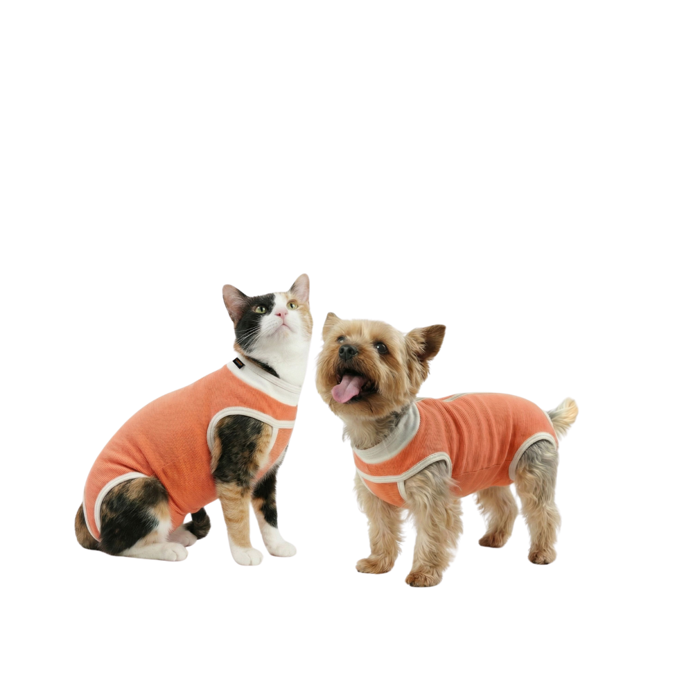 BODY COBRE TRADICIONAL PERRO Y GATO TALLA 1 | 2.5 a 3.5 kg