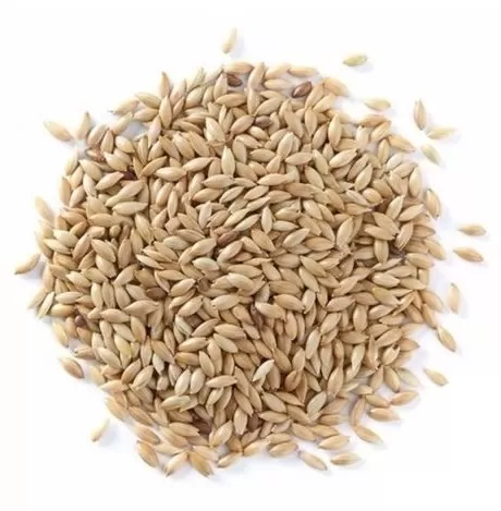 ALPISTE 1KG ENVASADO