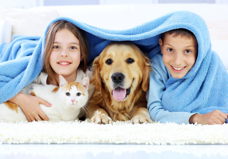 ¿Cómo influyen las mascotas en el bienestar y unión de la familia?