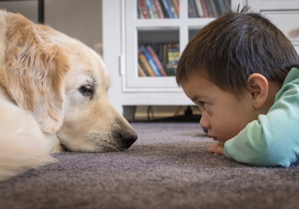 ¿Pueden las mascotas tener autismo? ¿Existen sintomas similares al de las personas?